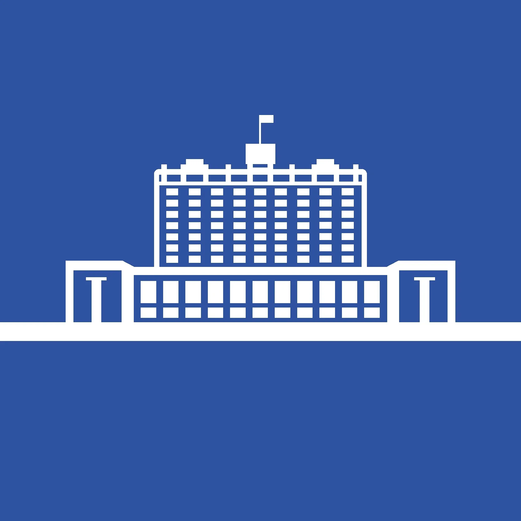 Правительство РФ